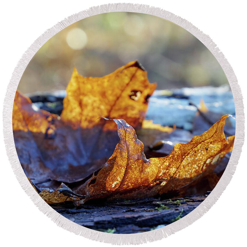 Finland Round Beach Towel featuring the photograph Late Fall colors by Jouko Lehto