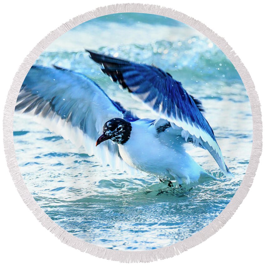 Laughing Gull Round Beach Towel featuring the photograph Laughing Gull by Ben Graham