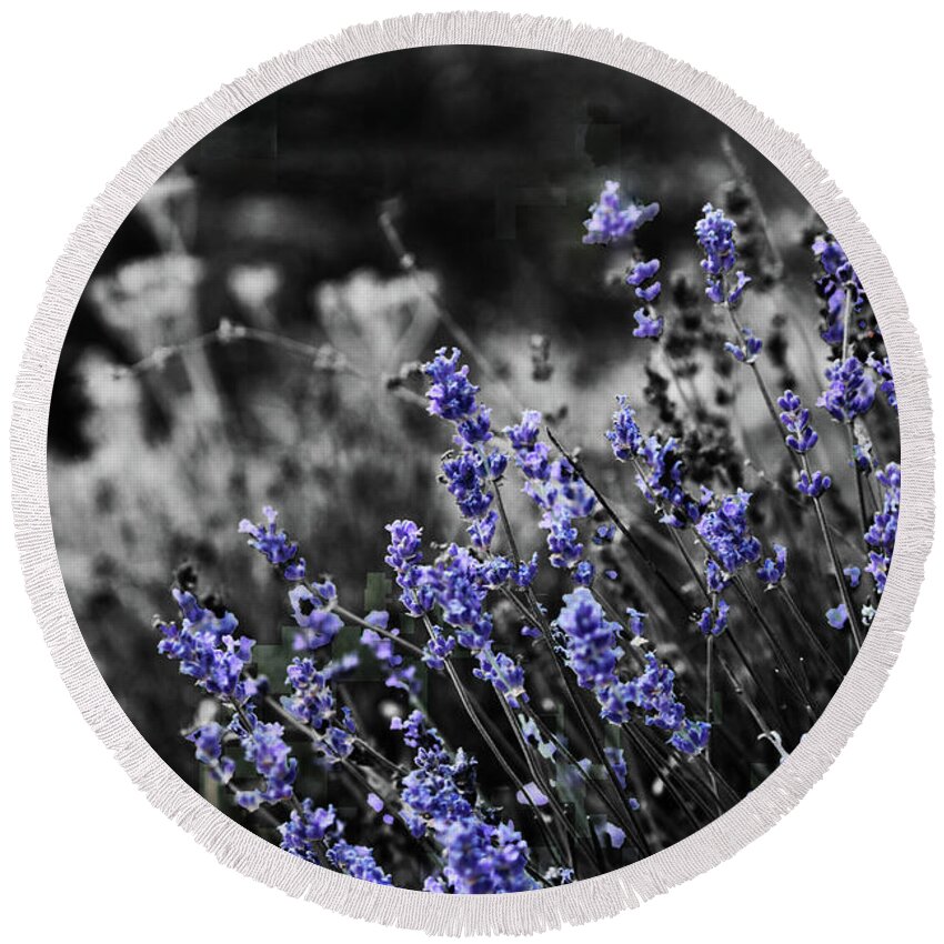 Garden Round Beach Towel featuring the photograph Lavender B and W by April Burton