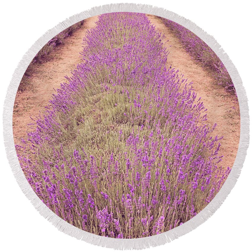 Agriculture Round Beach Towel featuring the photograph Lavender fields by Monika Tymanowska