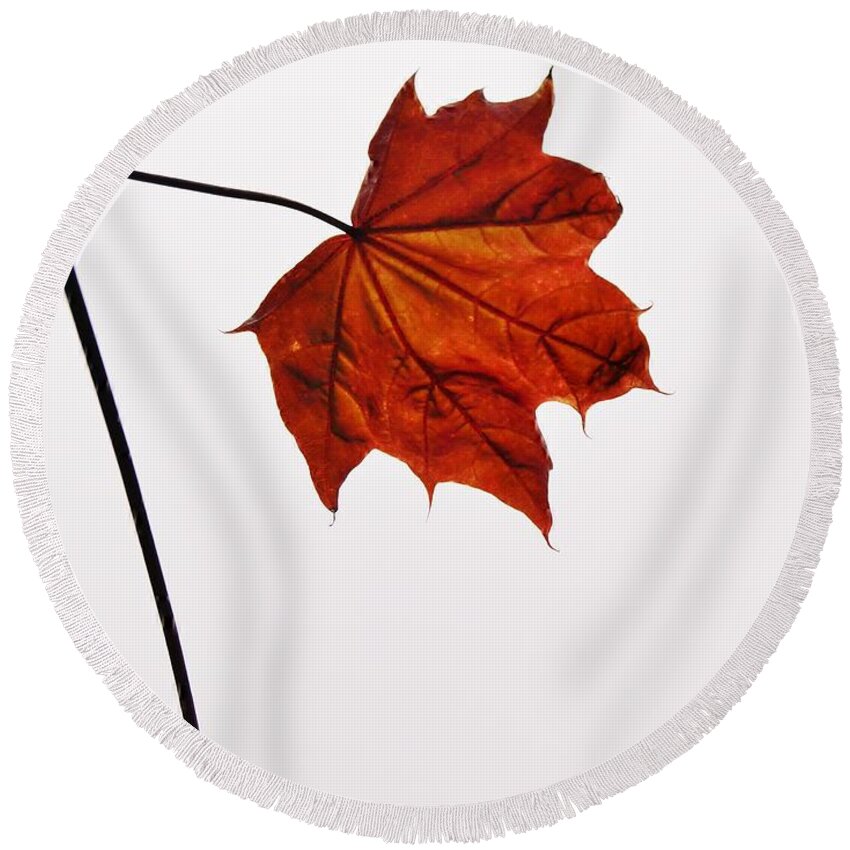 Leaf Round Beach Towel featuring the photograph Leaf by Richard Brookes