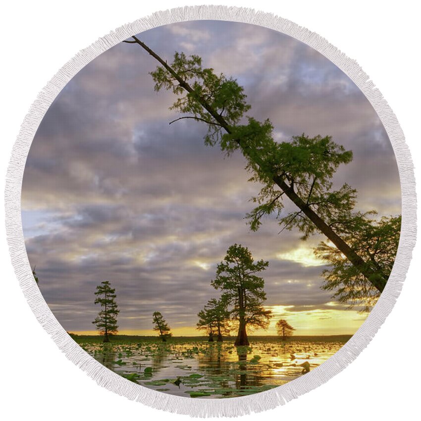 2016 Round Beach Towel featuring the photograph Leaning Cypress by Robert Charity