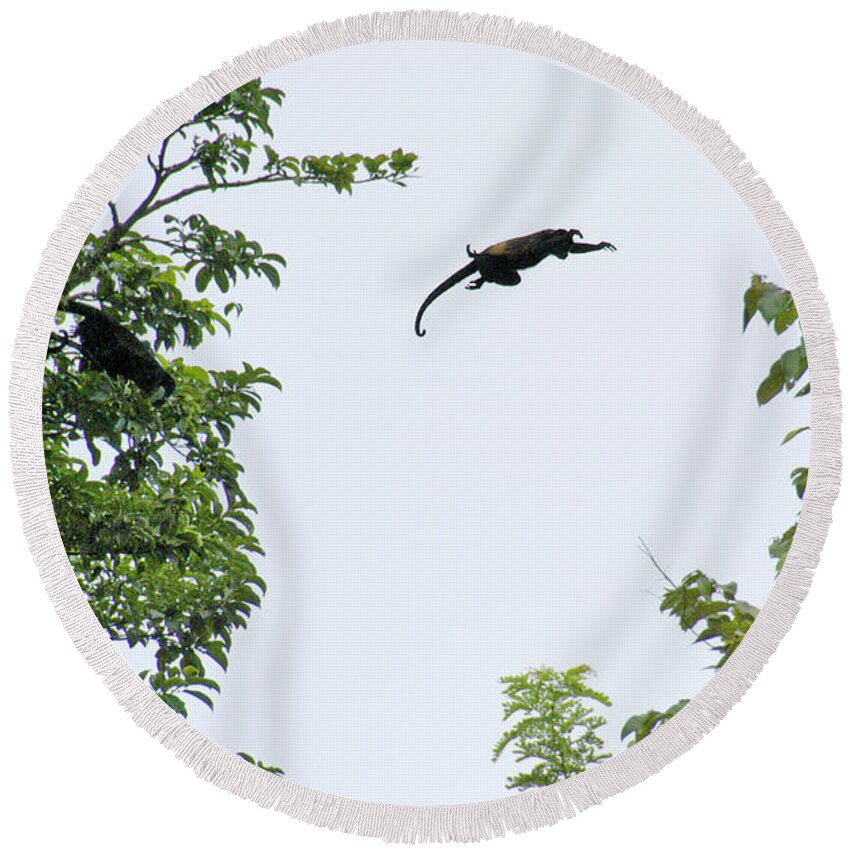 Monkey Round Beach Towel featuring the photograph Leaping Monkey by Ted Keller