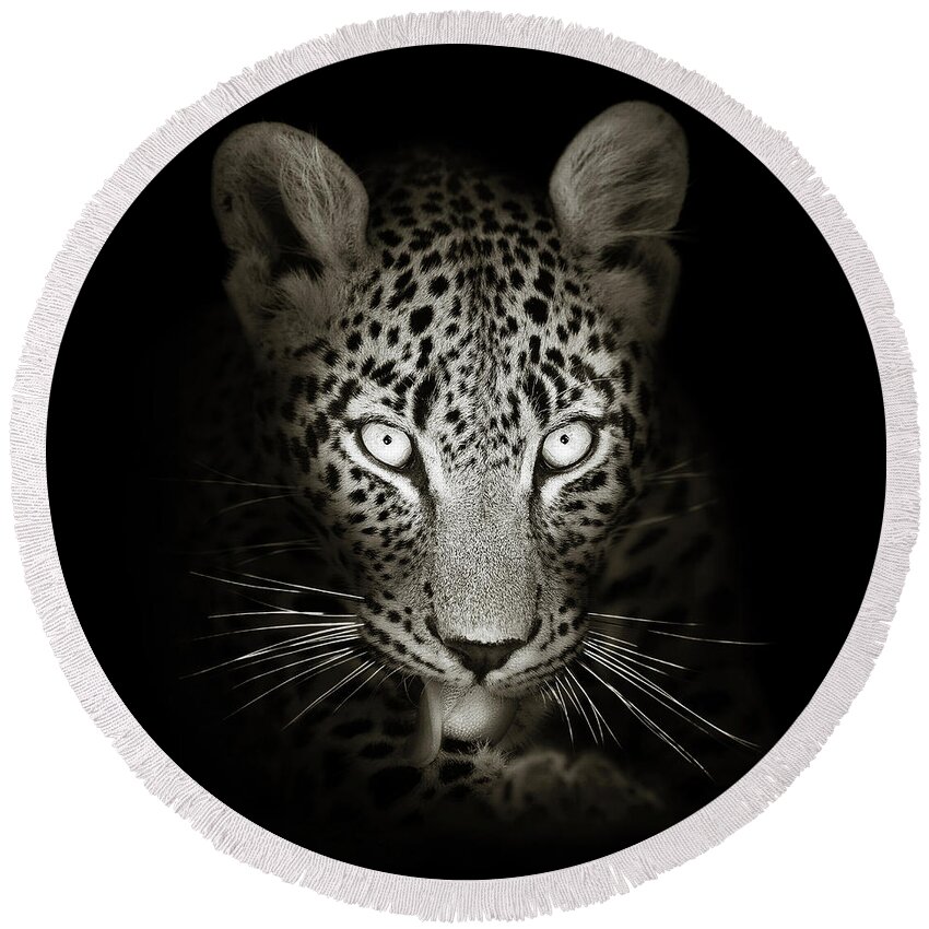 Leopard Round Beach Towel featuring the photograph Leopard portrait in the dark by Johan Swanepoel