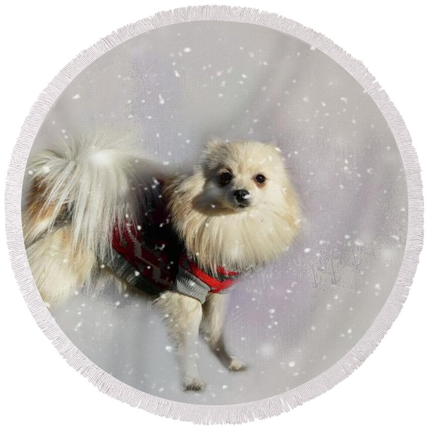 Dog Round Beach Towel featuring the photograph Let It Snow by Eva Lechner