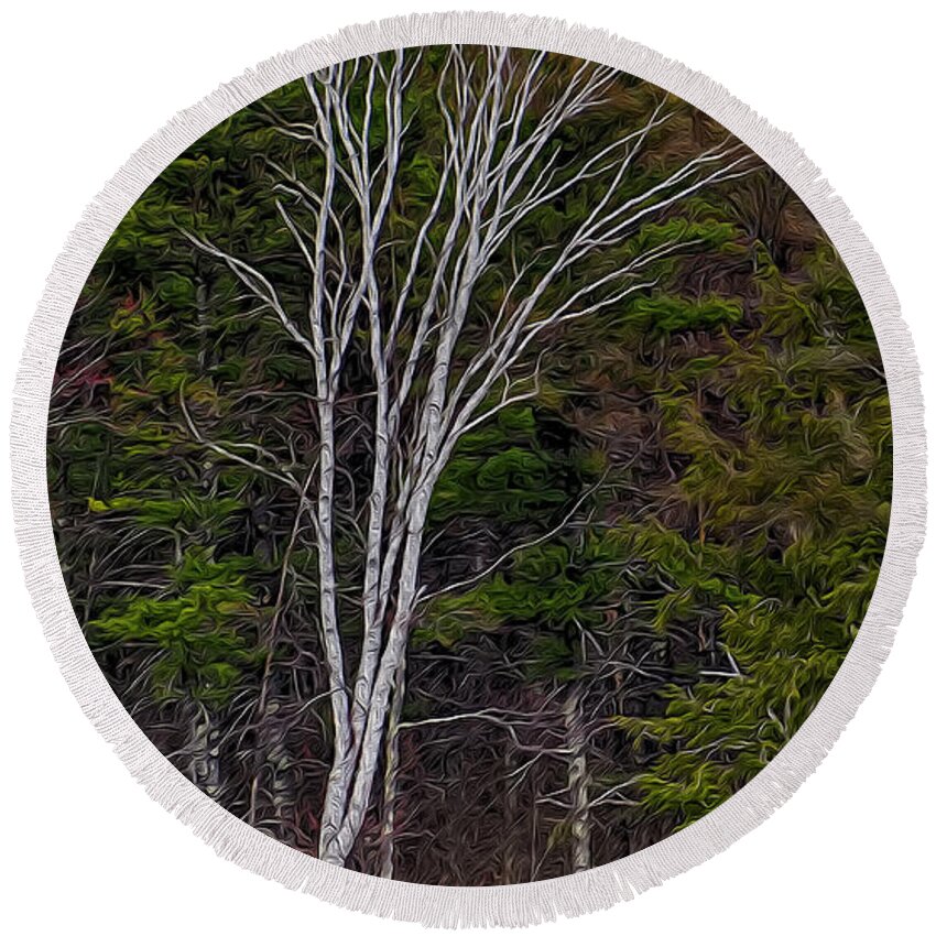 Contoocook Round Beach Towel featuring the photograph Life's A Birch No.1 by Mark Myhaver