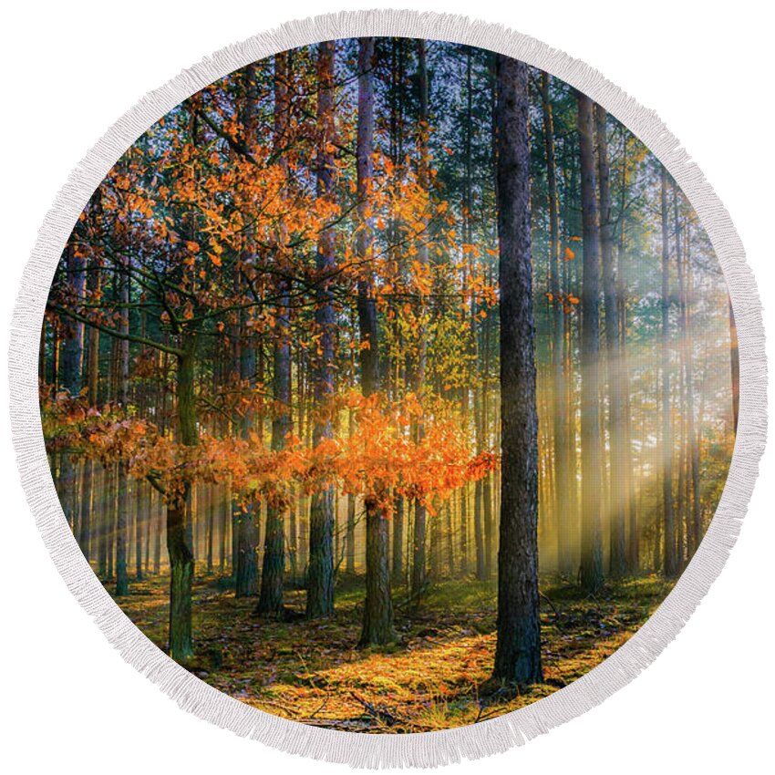 Lubush Round Beach Towel featuring the photograph Light catcher by Dmytro Korol