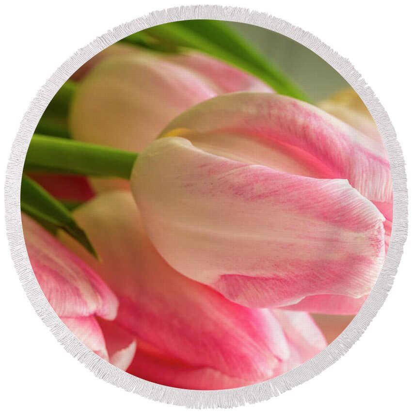 Mothers Day Round Beach Towel featuring the photograph Light Pink Tulips in Sunlight by Teri Virbickis
