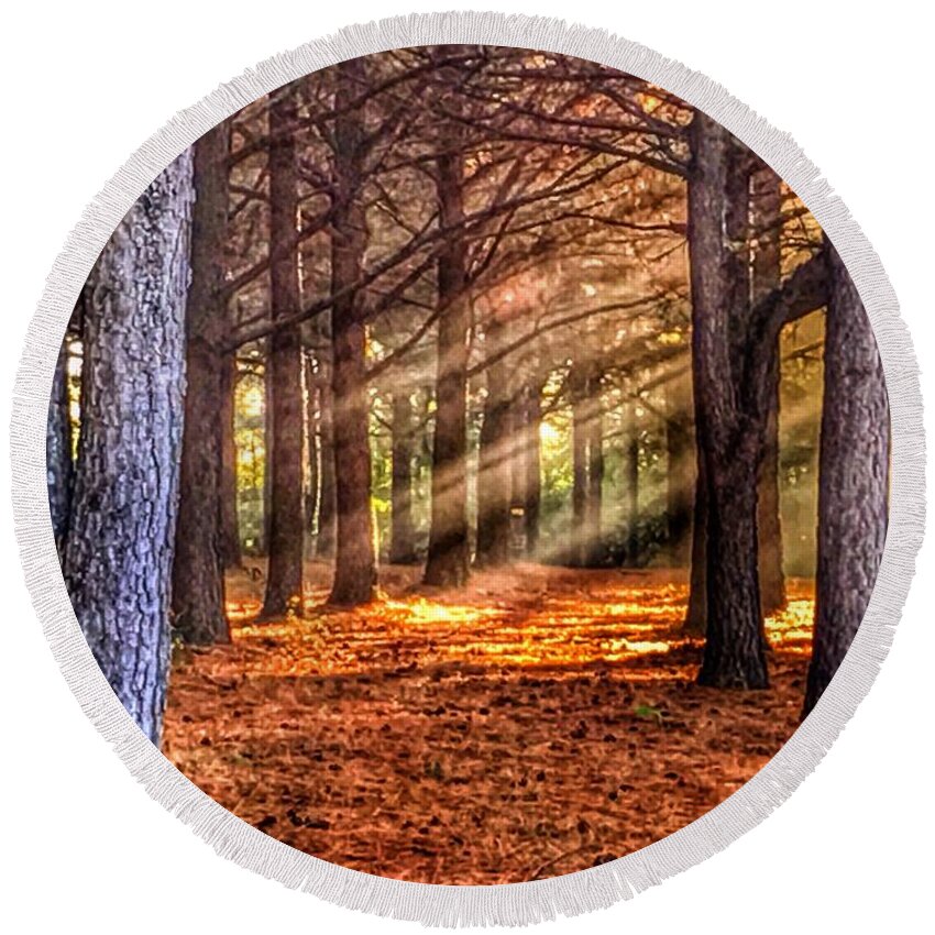 Sunbeams Round Beach Towel featuring the photograph Light thru the Trees by Sumoflam Photography