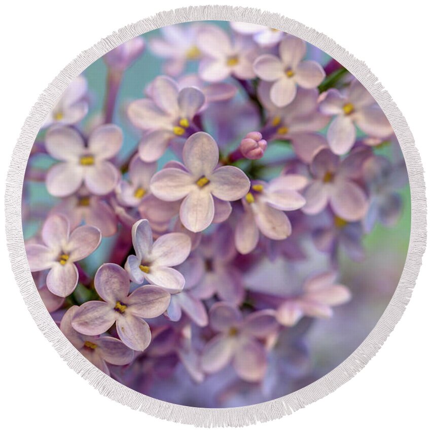 Lilac Round Beach Towel featuring the photograph Lilac Blossom II by Mary Anne Delgado