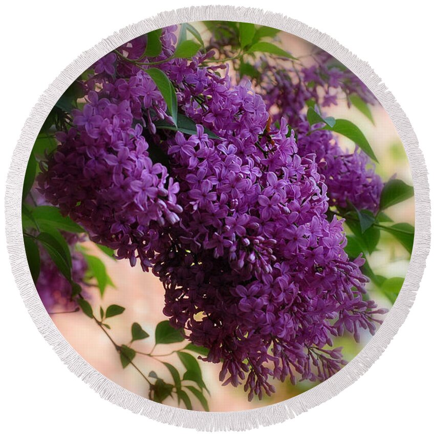 Botanicals Round Beach Towel featuring the photograph Lilacs by Elaine Manley