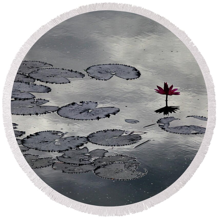  Round Beach Towel featuring the digital art Lilly Mirror by Darcy Dietrich