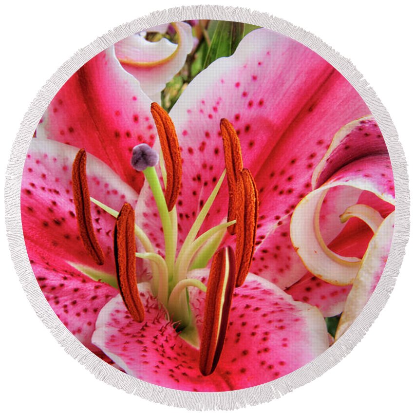 Mariola Round Beach Towel featuring the photograph Lily Fantasy by Kasia Bitner