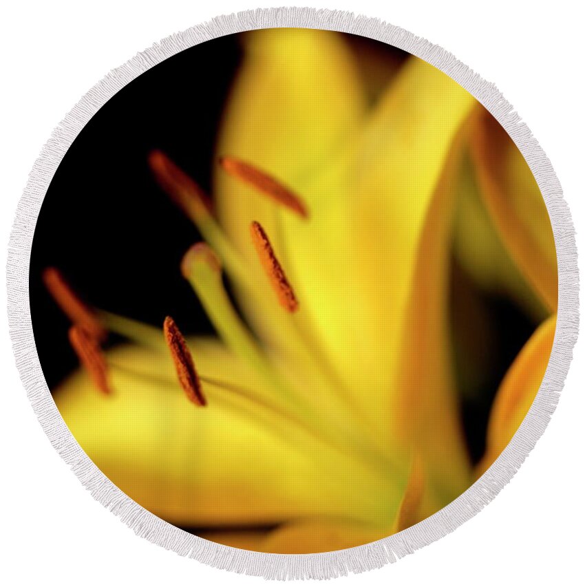 Lily Flower Yellow Blur Bokeh Round Beach Towel featuring the photograph Lily Flower by Ian Sanders