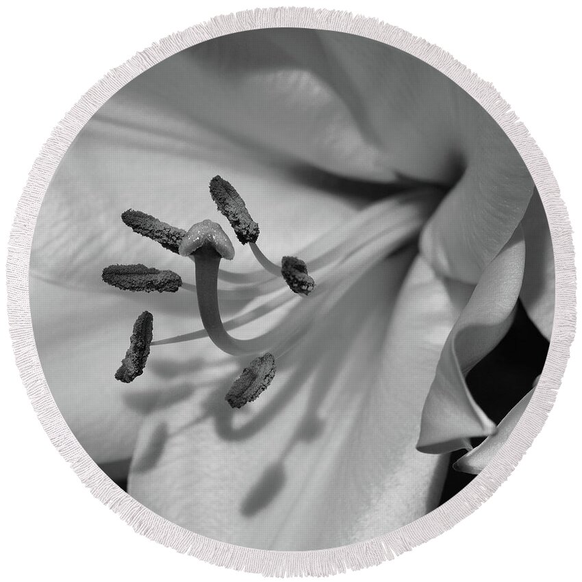 Flowers Round Beach Towel featuring the photograph Lily in Black and White by Cindy Manero