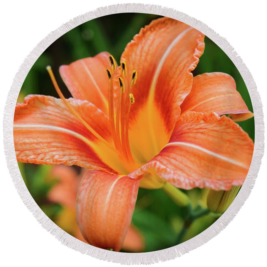 Flower Round Beach Towel featuring the photograph Lily by Nicole Lloyd