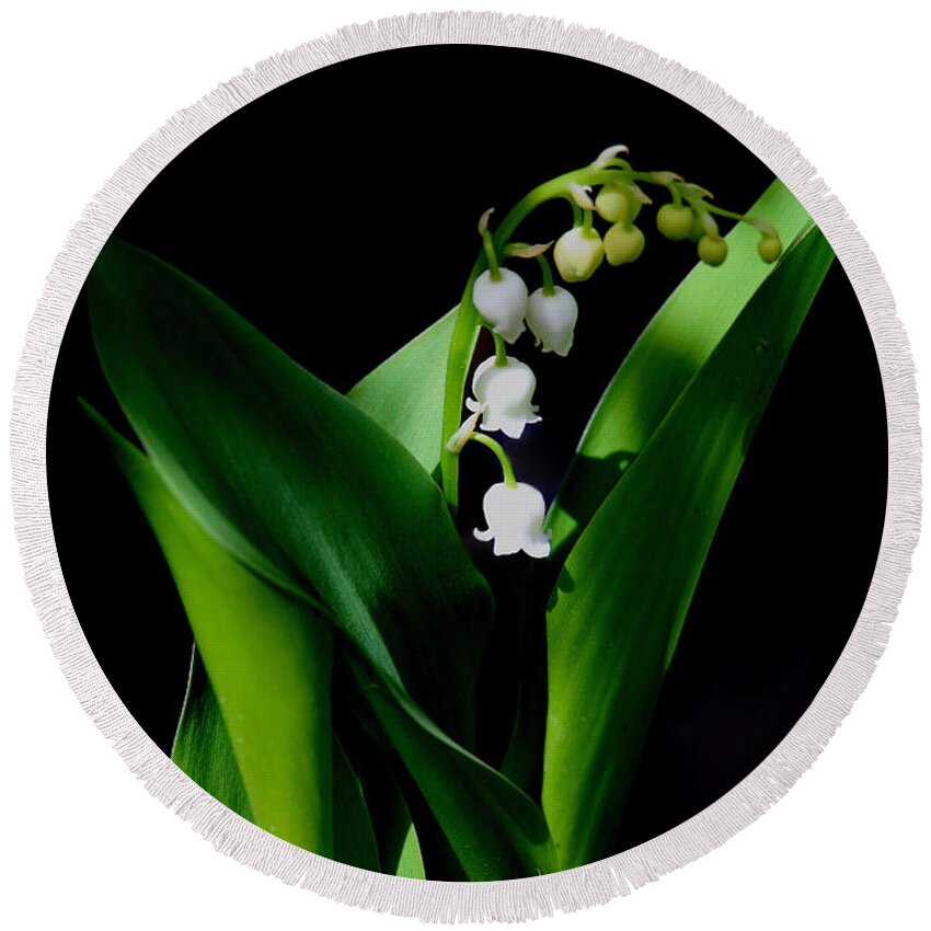 Lily Of The Valley Round Beach Towel featuring the photograph Lily Of The Valley by Living Color Photography Lorraine Lynch