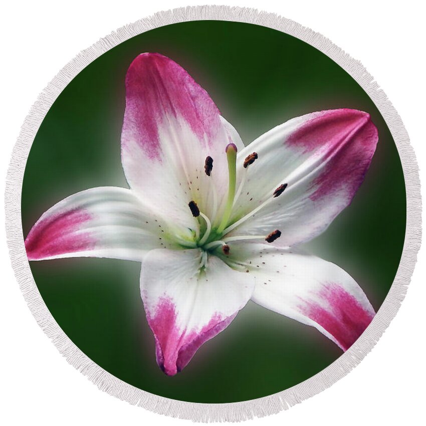 Flower Round Beach Towel featuring the photograph Lily On Green by Johanna Hurmerinta