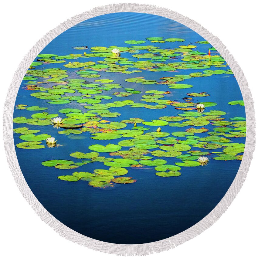 North Port Florida Round Beach Towel featuring the photograph Lily Pads by Tom Singleton