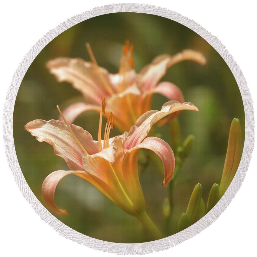 Picture Pink Daylilies Round Beach Towel featuring the photograph Lily Pair - Indian Summer by MTBobbins Photography