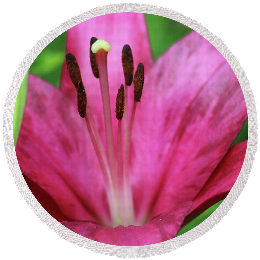 Lily Round Beach Towel featuring the photograph Lily - Simply Spring 04 by Pamela Critchlow