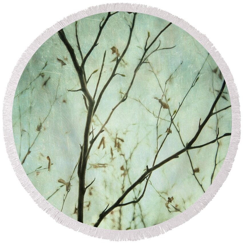 Twigs Round Beach Towel featuring the photograph Limbs of a tree 5 by Priska Wettstein