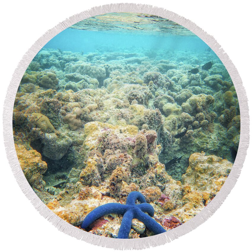 Coral Reef Round Beach Towel featuring the photograph Linkia Love by Becqi Sherman