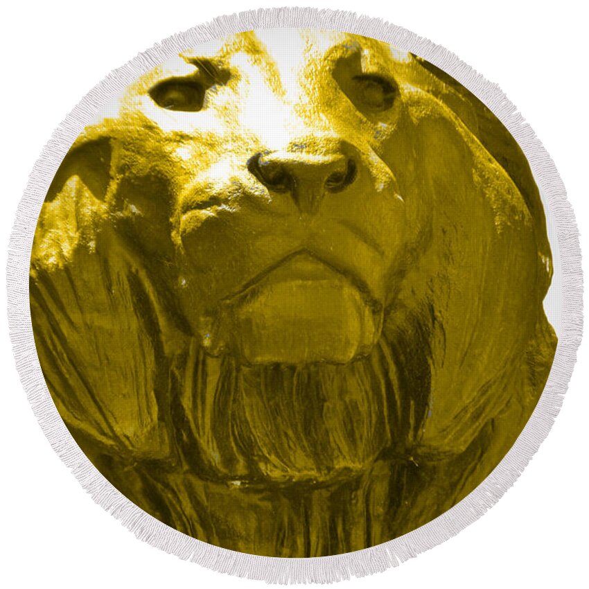 Baltimore Round Beach Towel featuring the photograph Lion Gold by Jost Houk