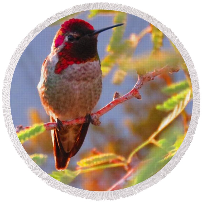  Arizona Round Beach Towel featuring the photograph Little Jewel with Wings Second Version by Judy Kennedy