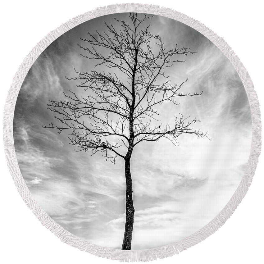 Tree Round Beach Towel featuring the photograph Little Tree by Roseanne Jones