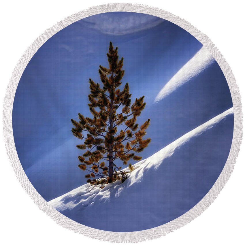 Lone Round Beach Towel featuring the photograph Lone Pine by Nicholas Blackwell