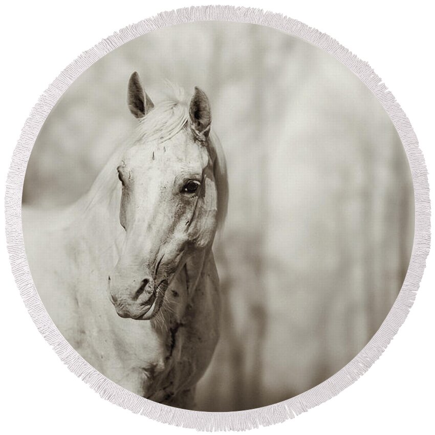 Horse Round Beach Towel featuring the photograph Lone white wild horse by Dimitar Hristov