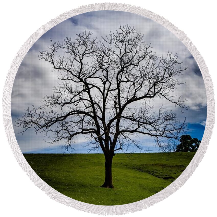 Tree Round Beach Towel featuring the photograph Lonely Tree by Kevin Craft