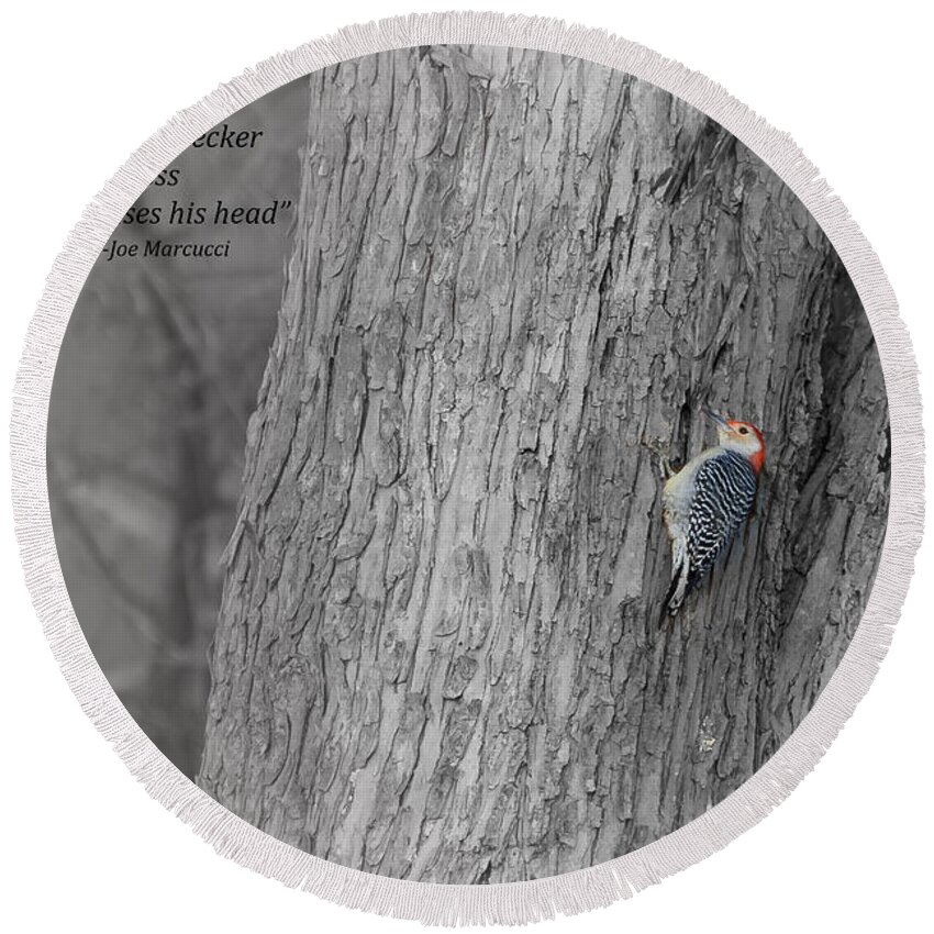 Red-bellied Woodpecker Round Beach Towel featuring the photograph Lonely Woodpecker by Holden The Moment