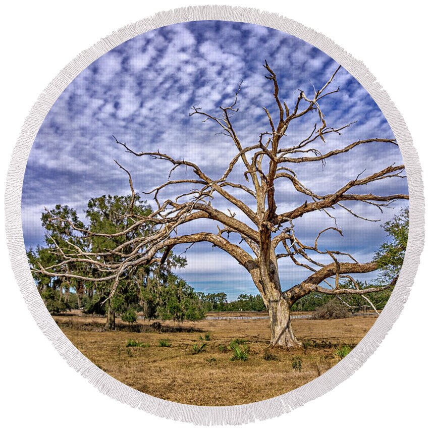 Tree Round Beach Towel featuring the photograph Lonley Tree by Dennis Dugan