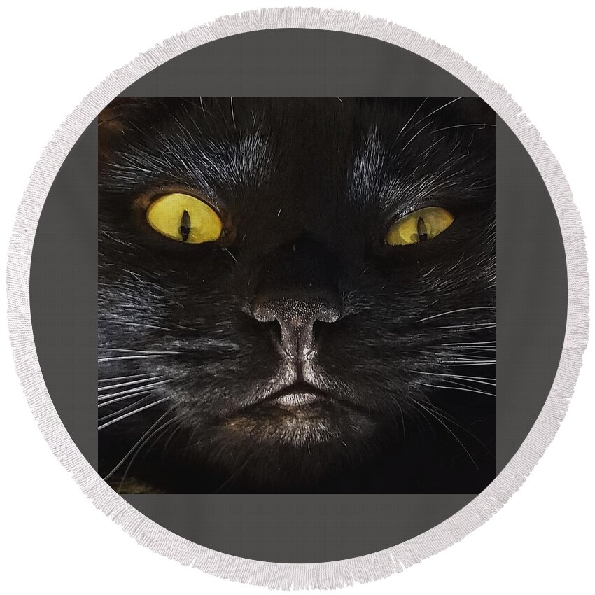 Black Cat Round Beach Towel featuring the photograph Look Into My Eyes by Pattie Frost
