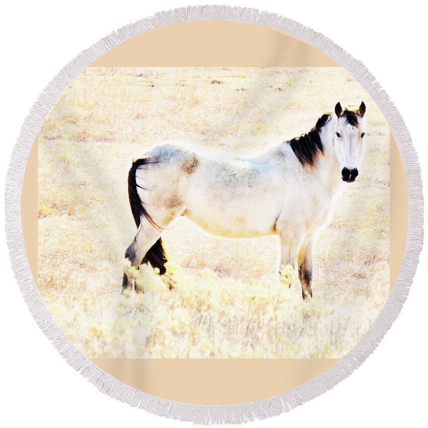 Horse Round Beach Towel featuring the photograph Looking Good by Merle Grenz