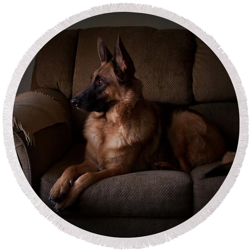 German Shepherd Dogs Round Beach Towel featuring the photograph Looking Out The Window - German Shepherd Dog by Angie Tirado