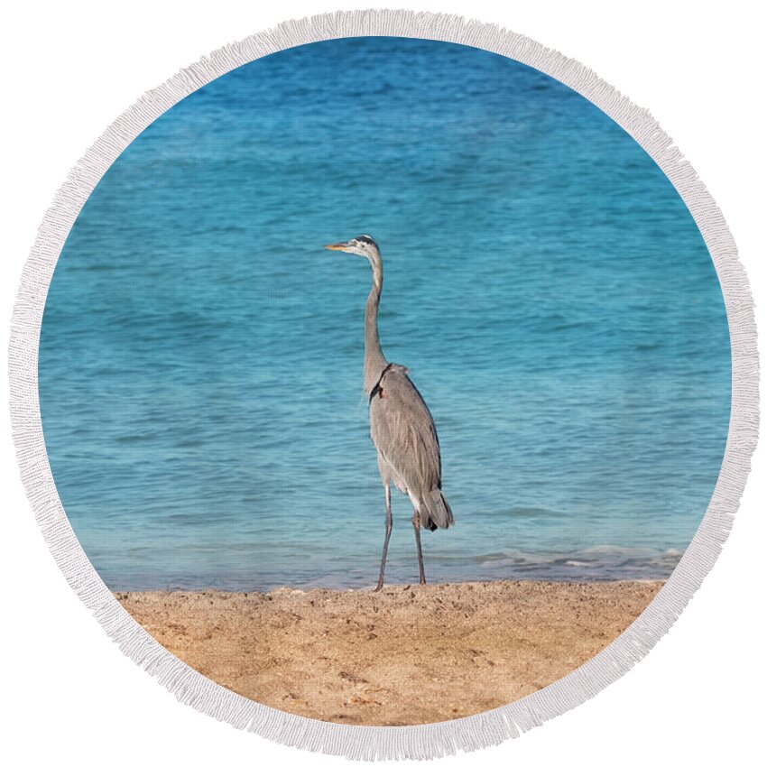 Great Blue Heron Round Beach Towel featuring the photograph Looking Out To Sea by Kim Hojnacki