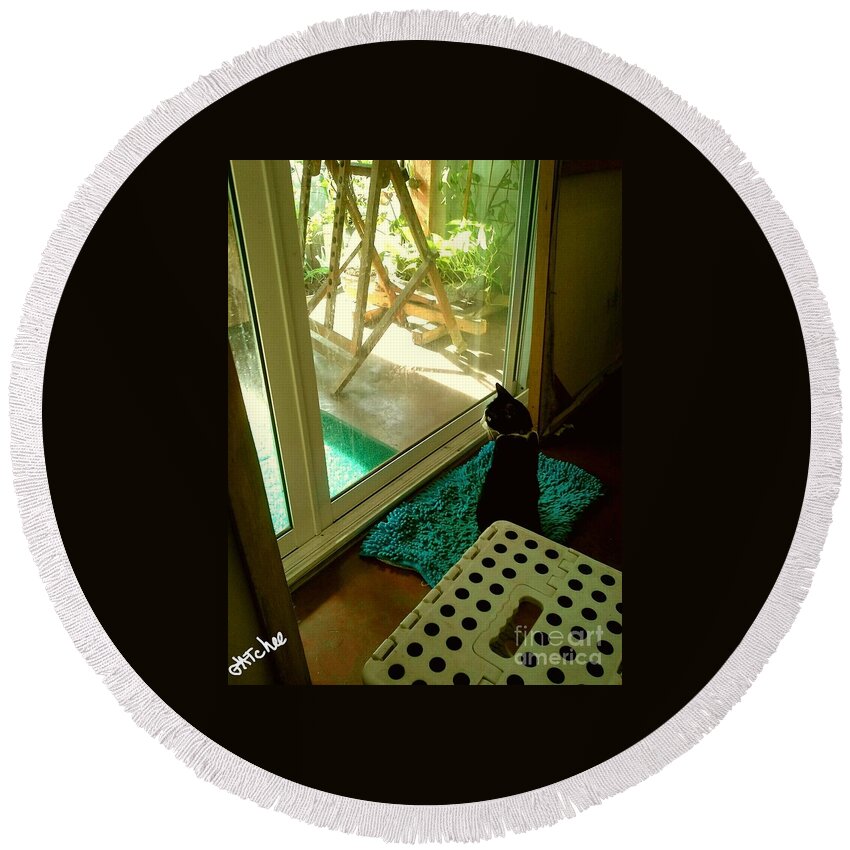 Cat Round Beach Towel featuring the photograph Looking Outside by Sukalya Chearanantana