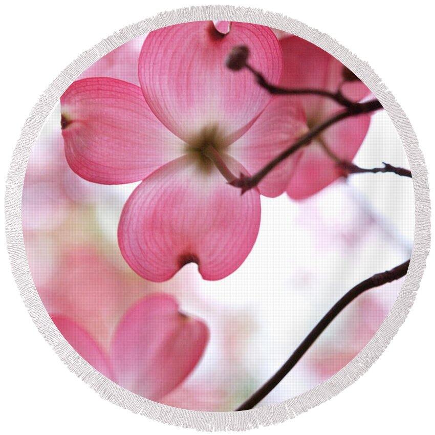 Flowers Round Beach Towel featuring the photograph Looking Up In Springtime by Dorothy Lee