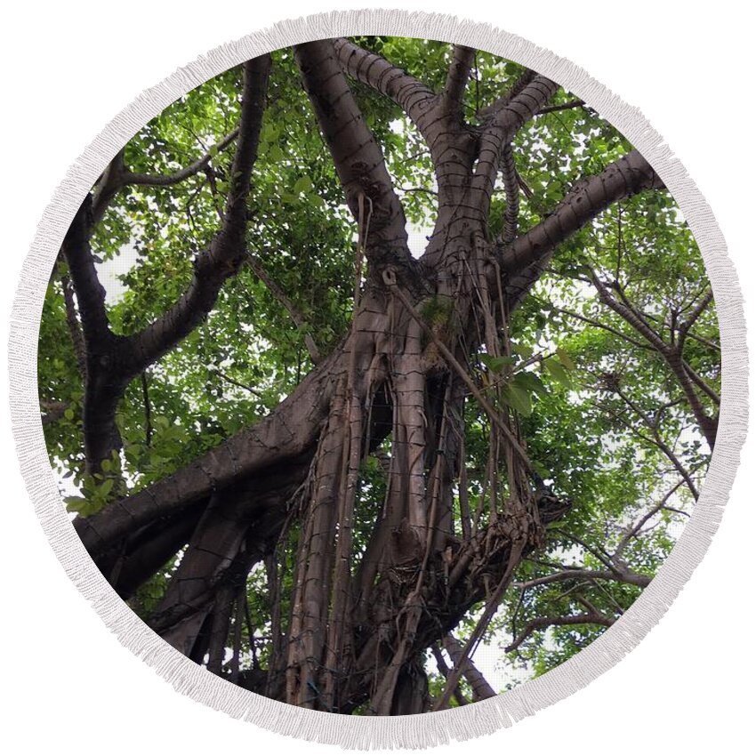 Tree Round Beach Towel featuring the photograph Lost in the Branches by Val Oconnor