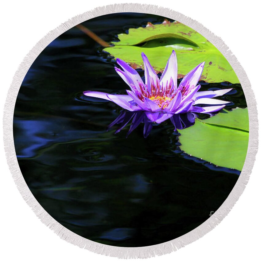 Lotus Round Beach Towel featuring the photograph Lotus and Dark Water Refection by Paula Guttilla