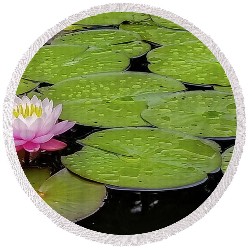 Water Lily Round Beach Towel featuring the photograph Lotus Blossom by Holly Ross