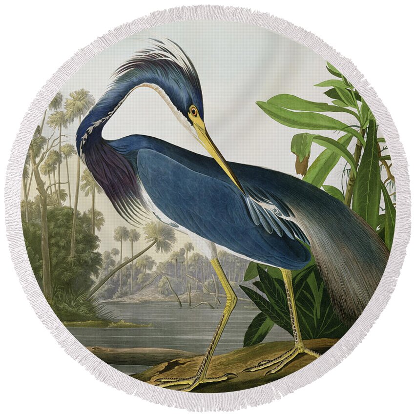 #faatoppicks Round Beach Towel featuring the painting Louisiana Heron by John James Audubon