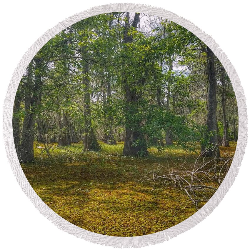 Blue Round Beach Towel featuring the photograph Louisiana Swamp by Mary Capriole