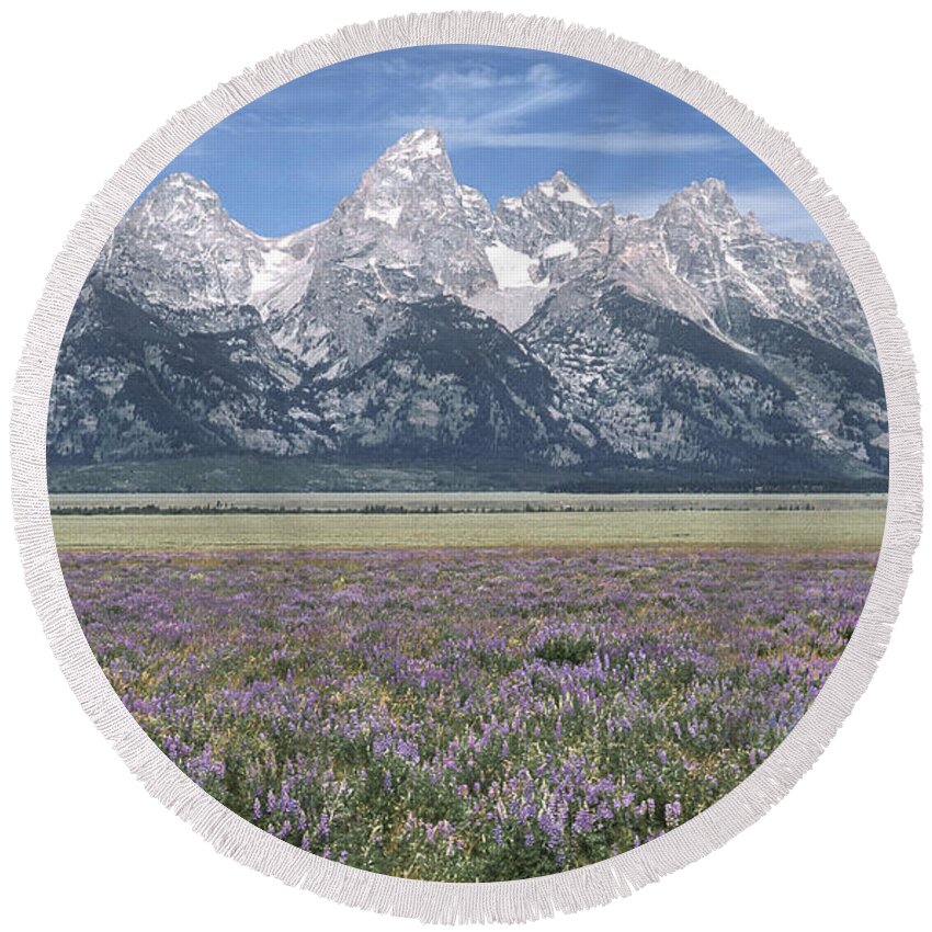 Grand Teton Round Beach Towel featuring the photograph Lupine and Grand Tetons by Sandra Bronstein