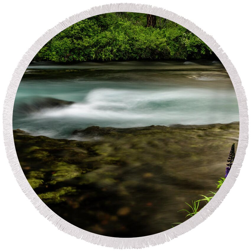 River Round Beach Towel featuring the photograph Lupine at the Metolius by Cat Connor
