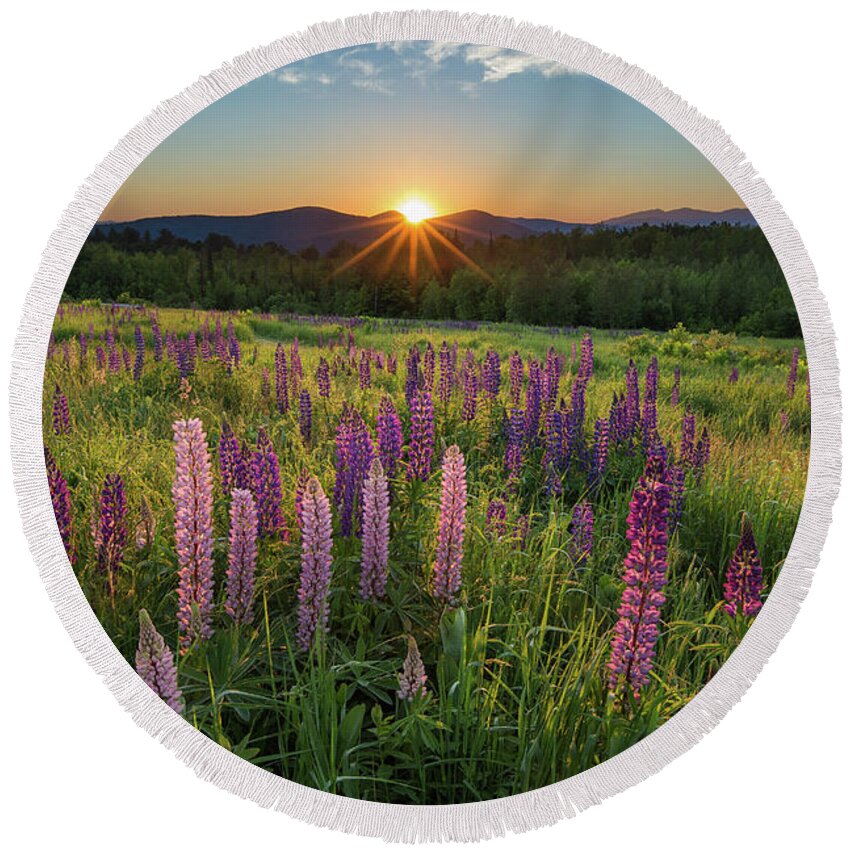 Lupine Round Beach Towel featuring the photograph Lupine Sunrise by White Mountain Images