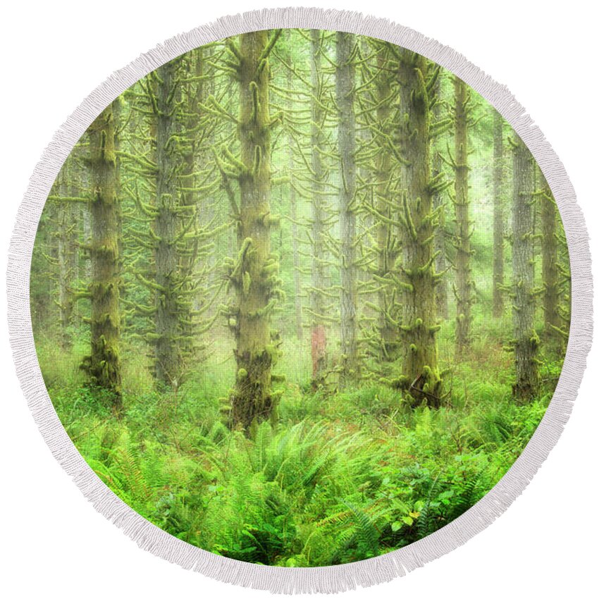 Fern Round Beach Towel featuring the photograph Lush Forest by Nicki Frates